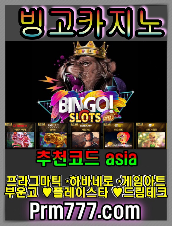 빙고카지노.png